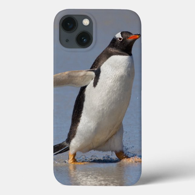 Paddling Gentoo iPad Case (Back)