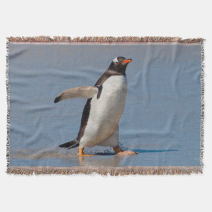 Paddling Gentoo Throw Blanket