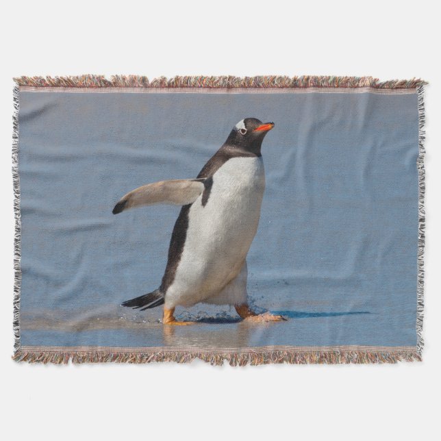 Paddling Gentoo Throw Blanket (Front)