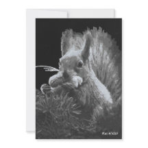 Paddy Cake, Squirrel