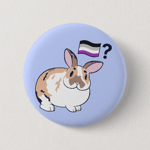Paddy Pride Badge (Aexuel)