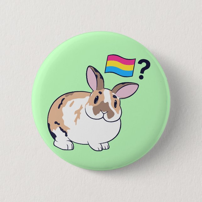Paddy Pride Badge (Pansexual) 2 Inch Round Button (Front)