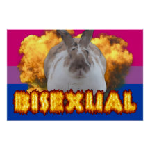 Paddy Pride Poster (Bisexual)