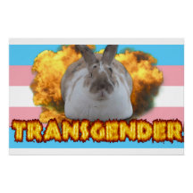 Paddy Pride Poster (Transgender)