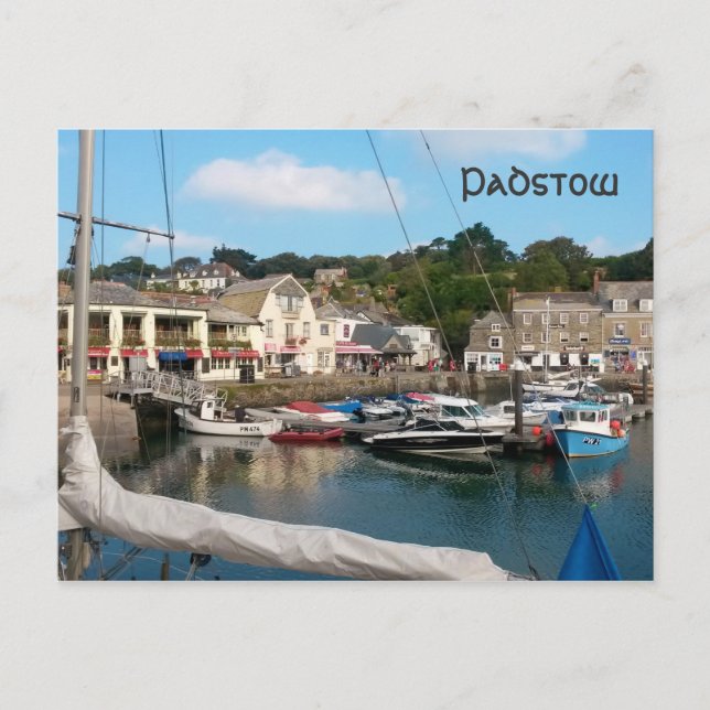 Padstow Cornwall England Postcard (Front)