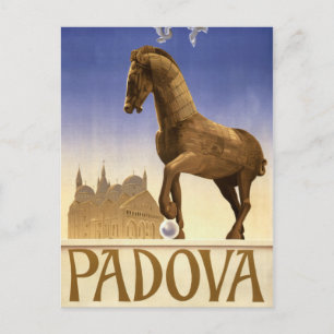 Padua Padova Italy Vintage Travel Poster Restored Postcard
