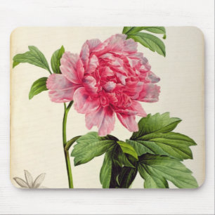 Paeonia Moutan, c.1799 Mouse Pad