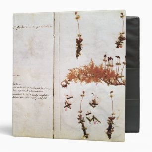 Page 15 from a Herbarium Binder