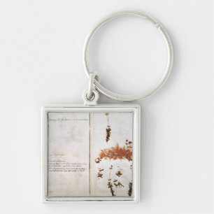 Page 15 from a Herbarium Keychain