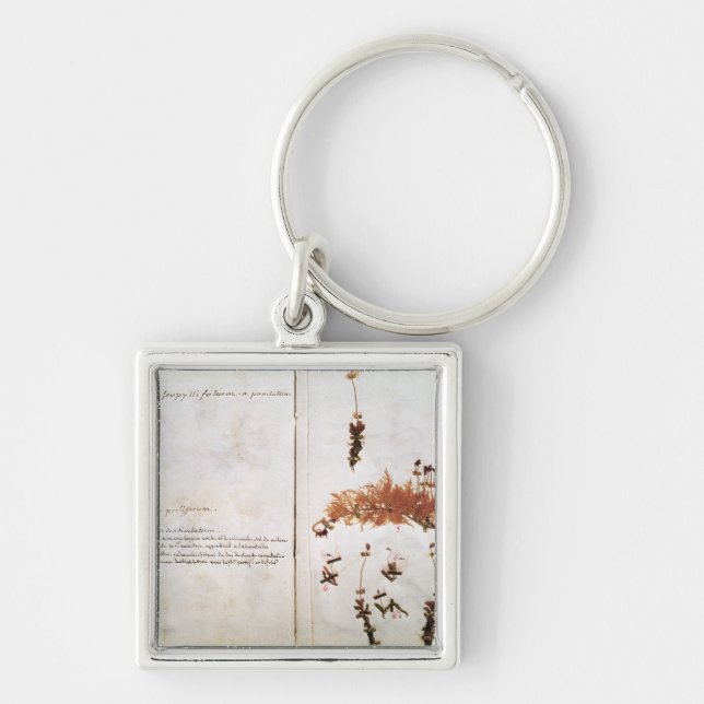 Page 15 from a Herbarium Keychain (Front)