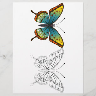Page de coloration des papillons de cartons mignon