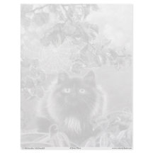 Page de coloration en niveaux de gris Kitten et Sp