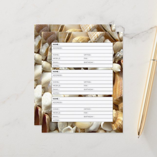 Page de l'annuaire Seashells (Devant/Arrière en situation)