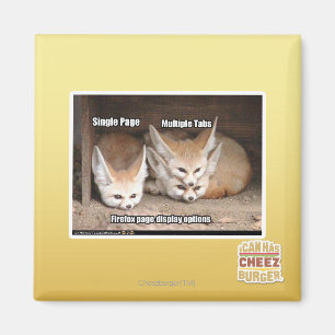 Page display options magnet