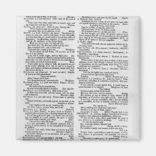 Page from a Dictionary Magnet