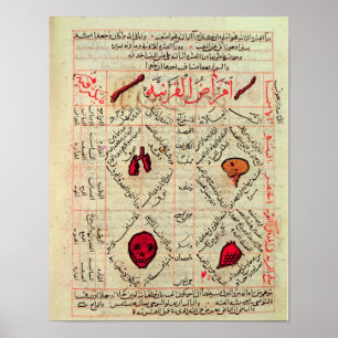 Page from the 'Canon of Medicine' by Avicenna Poster