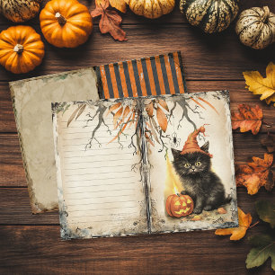 Page Journal de junk du chat noir vintage