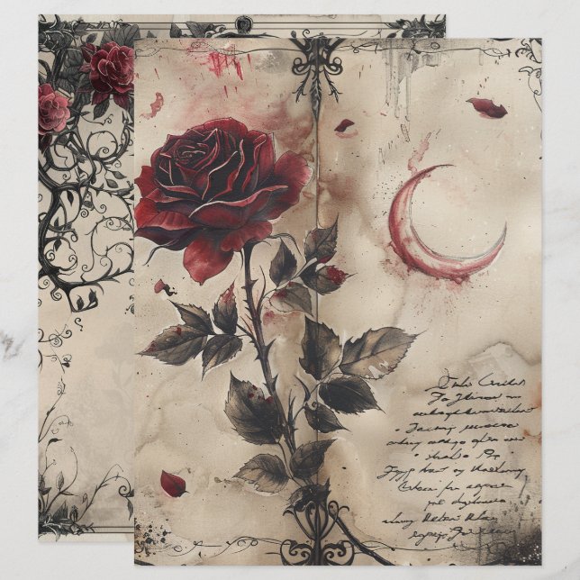 Page Journal de junk gothique vintage (Devant / Derrière)