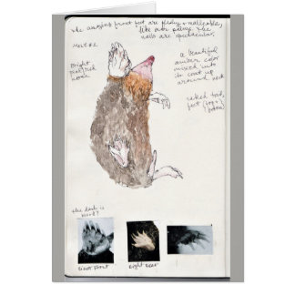 page orientale de journal de nature de taupe