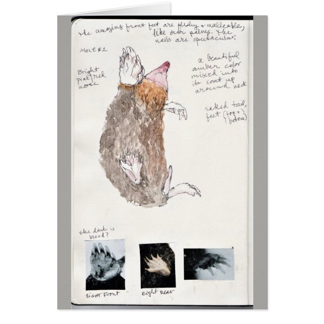 page orientale de journal de nature de taupe (Devant)