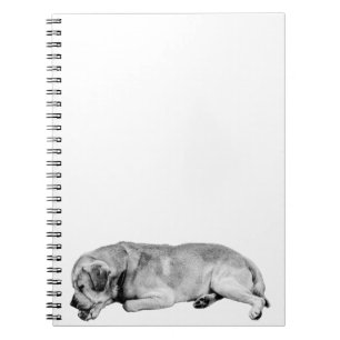 Pages for a Gentle Pace Notebook