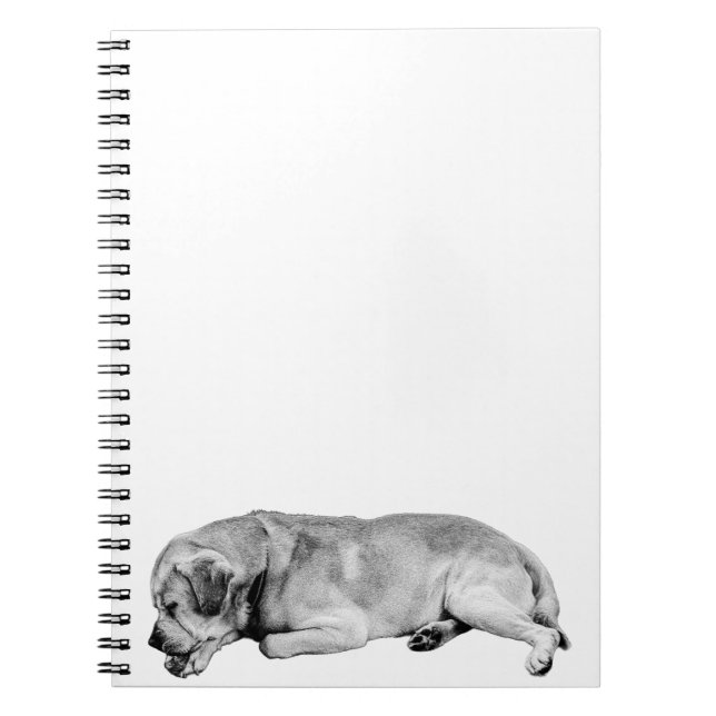 Pages for a Gentle Pace Notebook (Front)