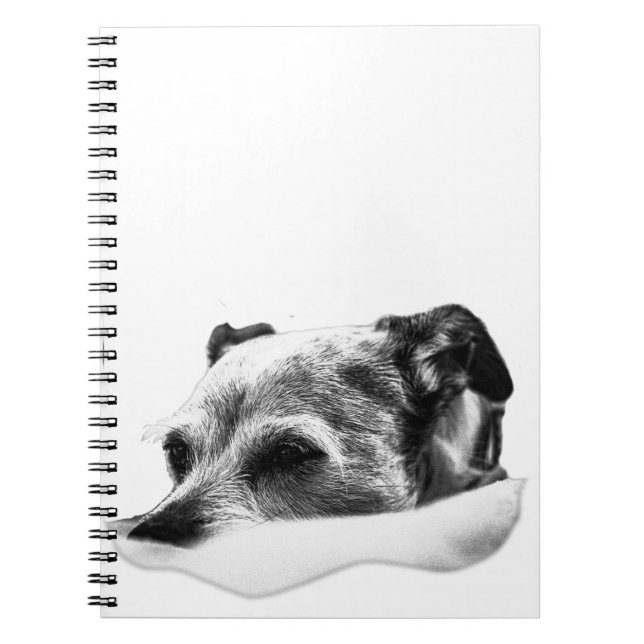 Pages of Stillness Notebook (Front)