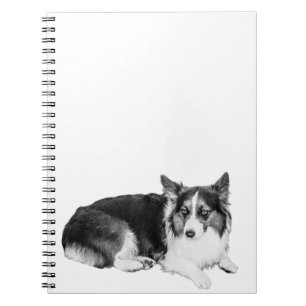 Pages of Stillness Notebook