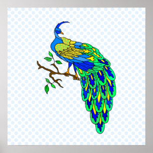 Pagiel Peacock Poster