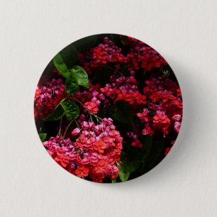 Pagoda Flowers Colourful Red and Pink 2 Inch Round Button