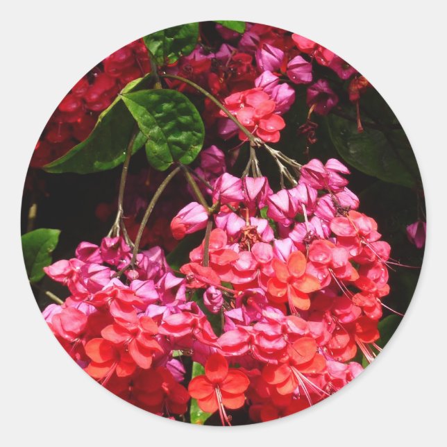 Pagoda Flowers Colourful Red and Pink Classic Round Sticker (Front)