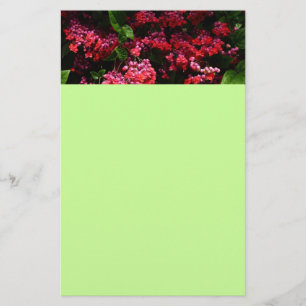 Pagoda Flowers Colourful Red and Pink Stationery