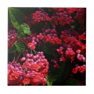 Pagoda Flowers Colourful Red and Pink Tile