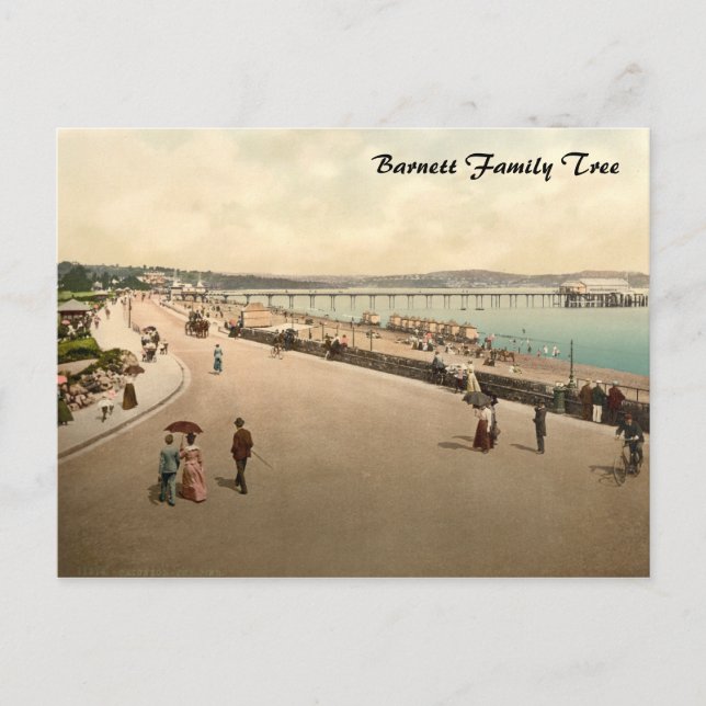 Paignton Pier, Devon, England Postcard (Front)