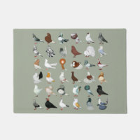 36 races de pigeon