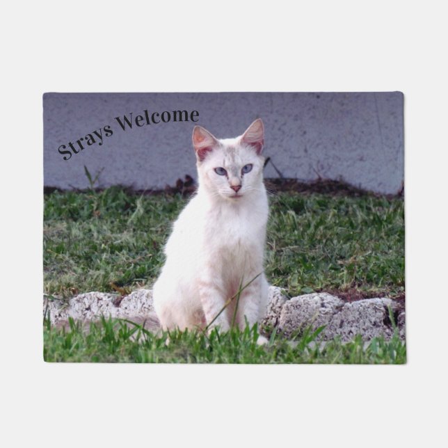 Paillasson Accueil : Doormat de chats errants de Siamese (Devant)