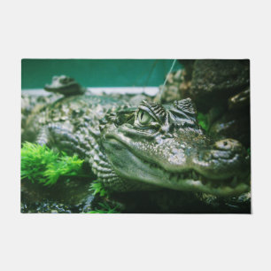 Paillasson Alligator