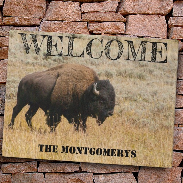 Paillasson American Bison Grazin Meadow Grass Photo personnal (door mat on brick)