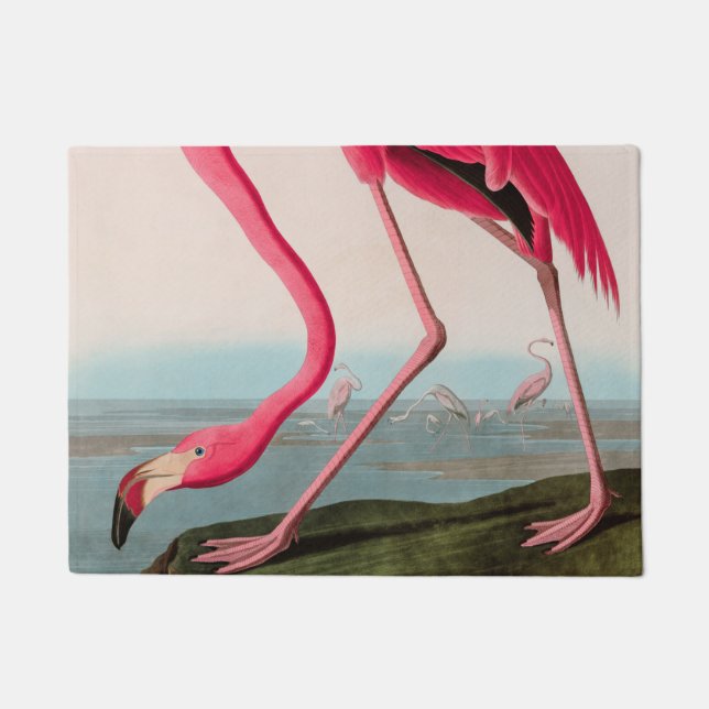 Paillasson American Flamant rose Birds of America Audubon Imp (Devant)