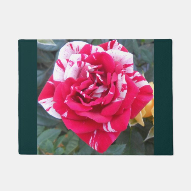 Paillasson Ancienne (Devant)