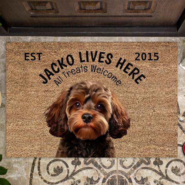 Paillasson Animal de compagnie personnalisé Cavapoo (Créateur téléchargé)