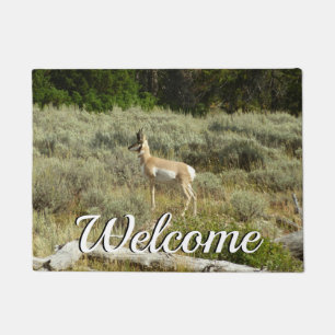 Paillasson Antilocapre dans le parc national de Grand Teton