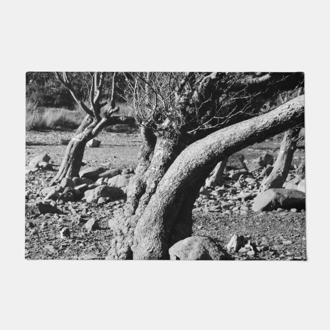 PAILLASSON ARBRES NOIRS ET BLANCS (Devant)