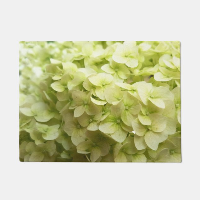 Paillasson Arrière - plan blanc de fleur d'hortensia (Devant)