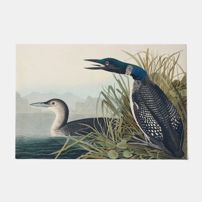 Paillasson Audubon Bird Loon Diver Classic (Devant)