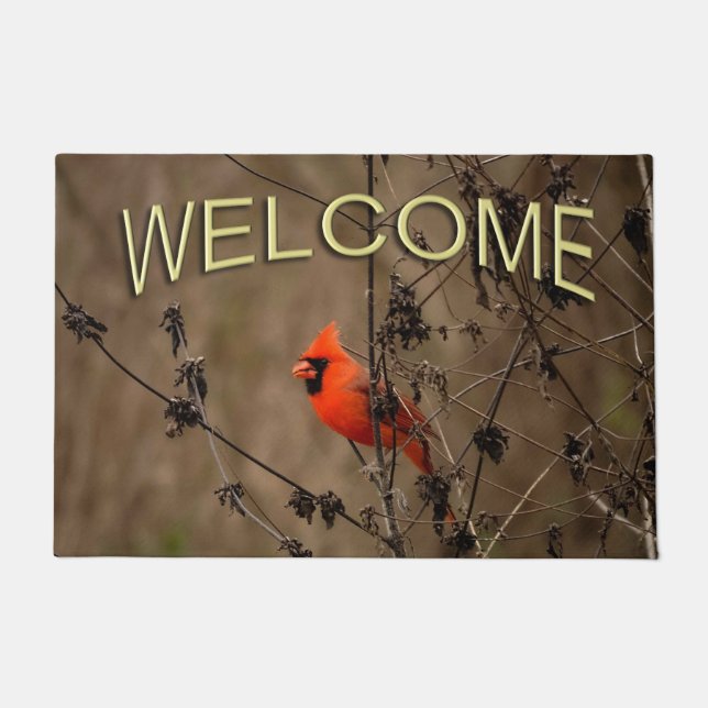 Paillasson Beau Cardinal du Nord  (Devant)