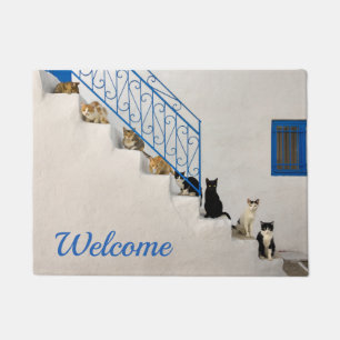 Paillasson Beaucoup de chats sur un escalier blanc dans un vi
