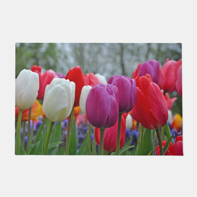 Paillasson Beauté des tulipes colorées   (Devant)