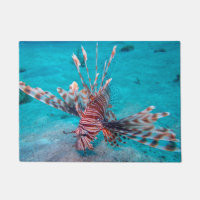 Beaux poissons rouges de lion