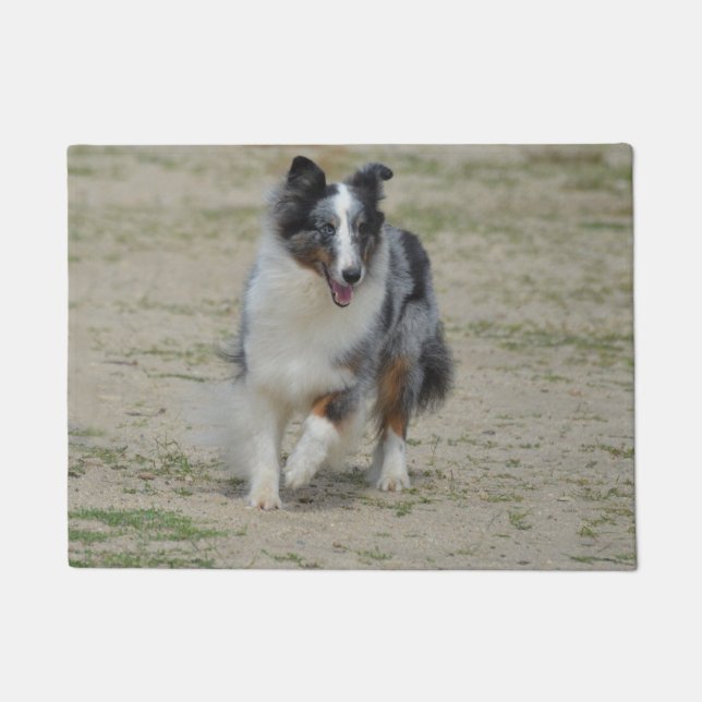 Paillasson Berger bleu d'Australien de Merle (Devant)